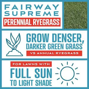 Fairway Supreme Perennial Ryegrass Blend 5 lb. 400 sq. ft. Grass Seed and Lawn Fertilizer