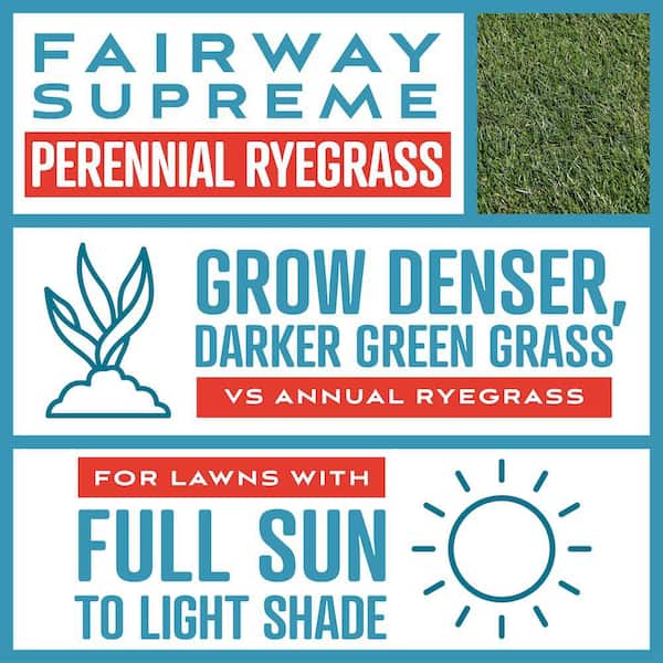 Fairway Supreme Perennial Ryegrass Blend 50 lb. 4,000 sq. ft. Grass Seed and Lawn Fertilizer 2 Pack