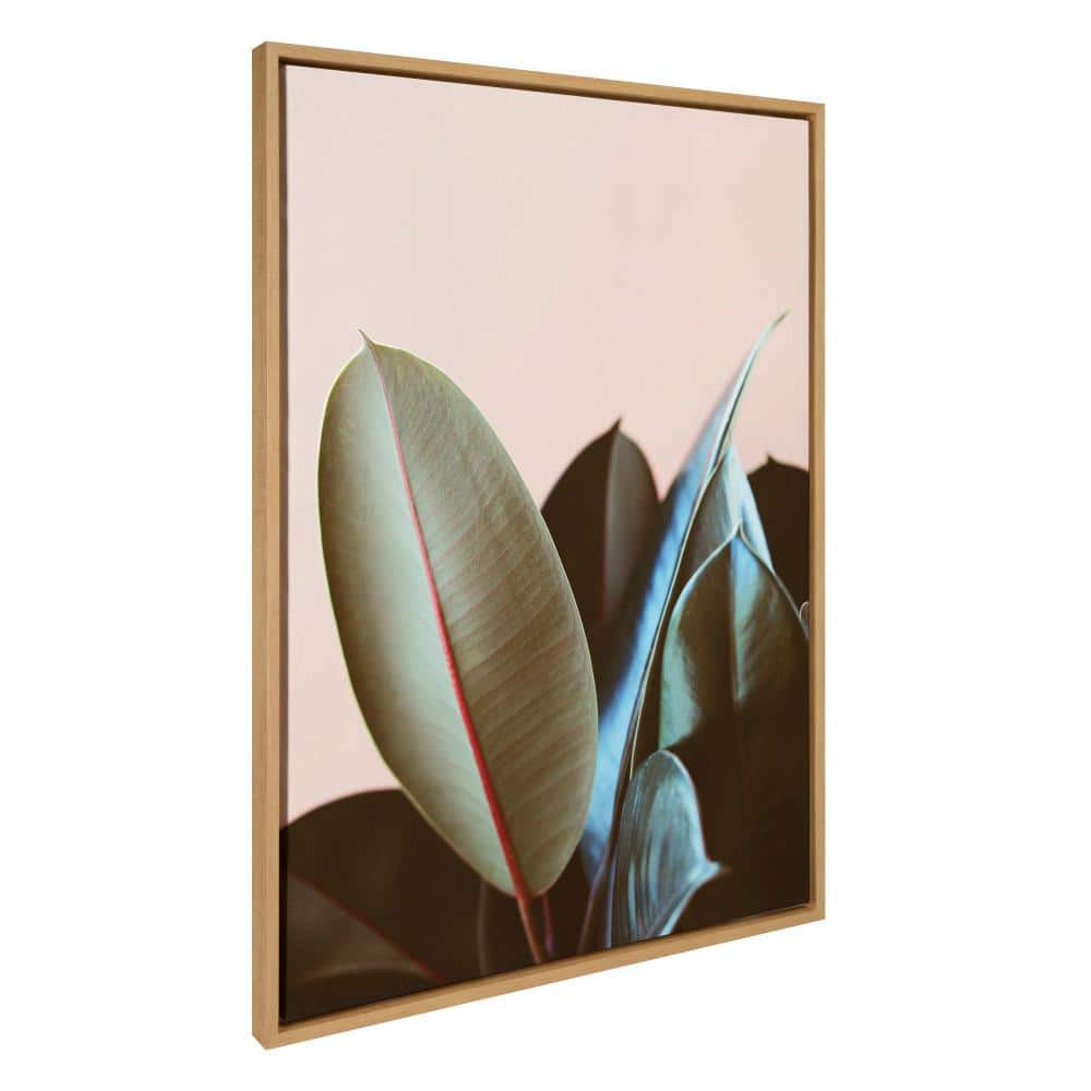 Natural Ficus Elastica Framed Canvas Wall Art, 28"x38"