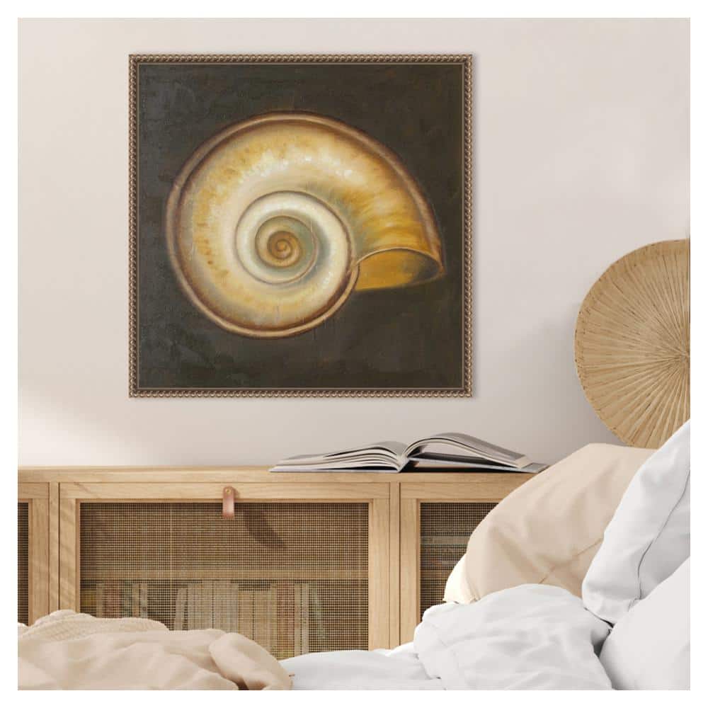 Patricia Pinto Nautical Seashell Canvas Framed Wall Art 22 x 22-in.