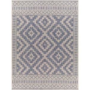 Linon Home Decor Marcy Ivory and Blue 5 ft. W x 7 ft. L Washable Polyester  Indoor/Outdoor Area Rug THDR04041 - The Home Depot