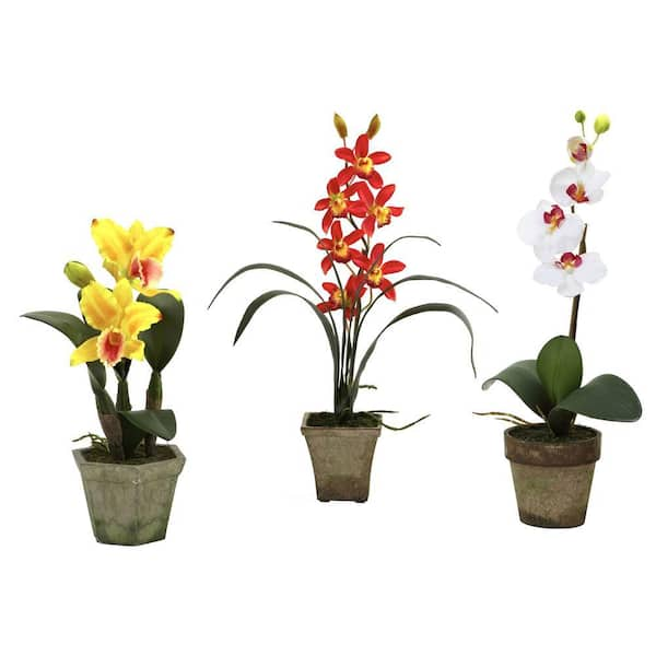 Nearly Natural Potted Orchid Mix in Yellow/Red/White (Set of 3)