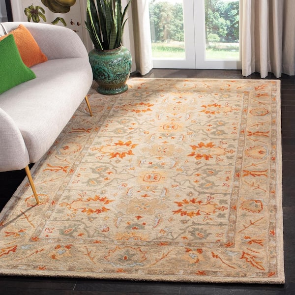 Antiquity Beige/Multi 6 ft. x 9 ft. Floral Antique Border Area Rug