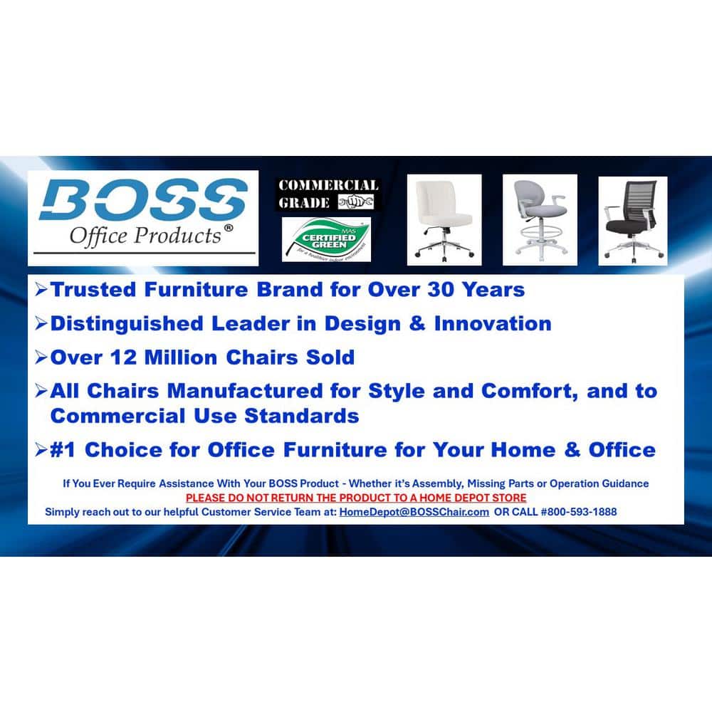 Adjustable Mesh Task Chair with Lumbar Support, Black