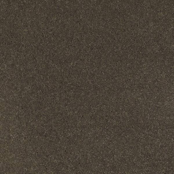 SoftSpring Carpet Sample - Miraculous I - Color Smokey Texture 8 in. x 8 in.