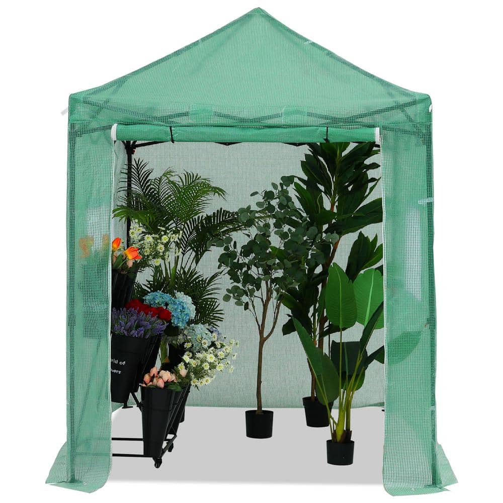 ABCCANOPY 70 in. W x 94 in. D x 98 in. H Pop Up Walk-in Garden Greenhouse  NF8x6 Greenhouse The Home Depot