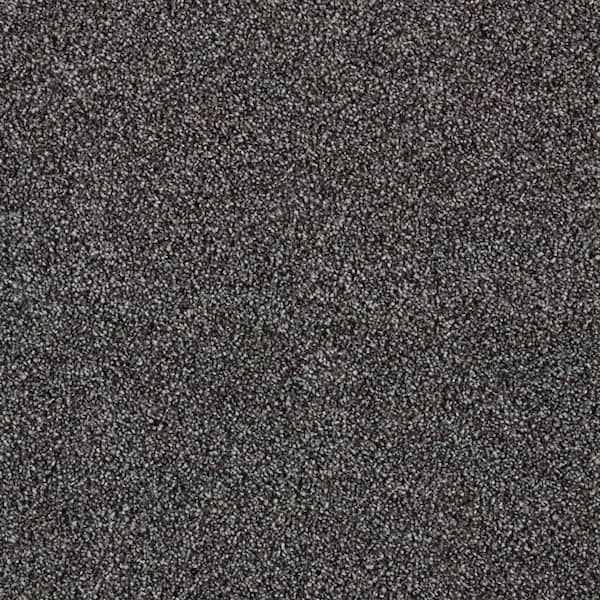 Lifeproof with Petproof Technology Playful Moments II Stormy Sky Gray 49 oz Triexta/PET Texture Installed Carpet