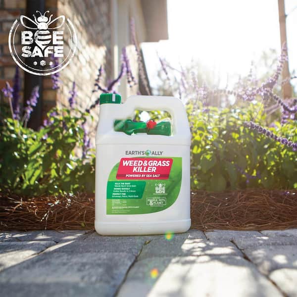 Earth's Ally Weed and Grass Killer 1-Gallon Natural Herbicide