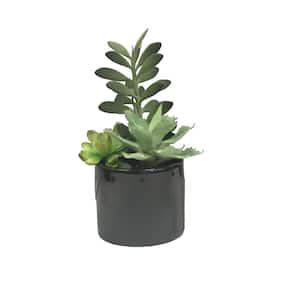 9 in. in Green Artificial Succulents in. in Cement Pot