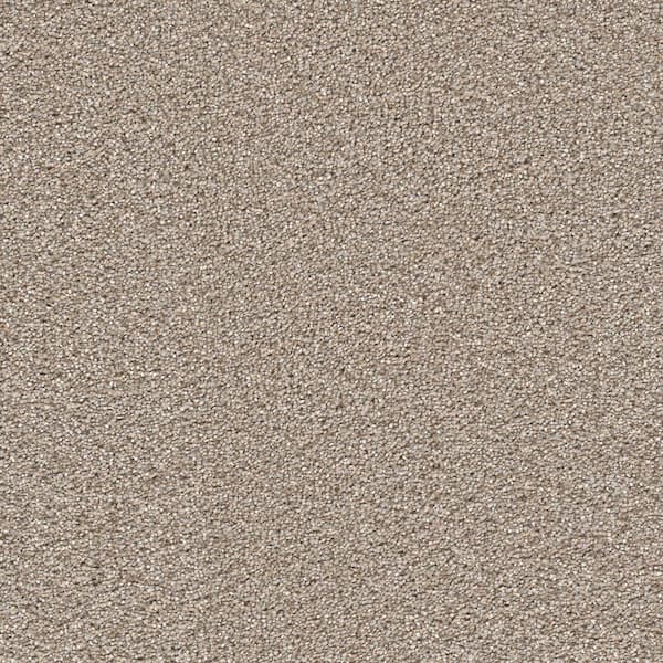 Home Decorators Collection Perfected I  - Fabulous - Gray 40 oz. SD Polyester Texture Installed Carpet