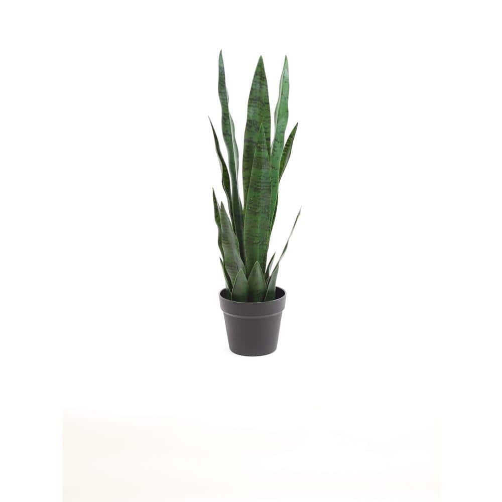 Outdoor/ Indoor Artificial Snake Plant - 24 – jacquieaiche30.com