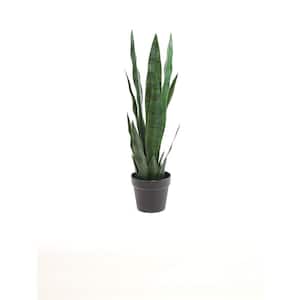Hollyone Artificial Snake Plant Potted Faux Sansevieria Trifasciata Plants,  17 Tropical Fake Plants in White Pots for Home Office Room Indoor Decor