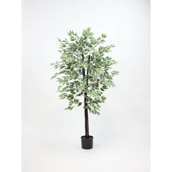 Unbranded 64 in. Variegated, Artificial Ficus Tree in Black Drop In Pot