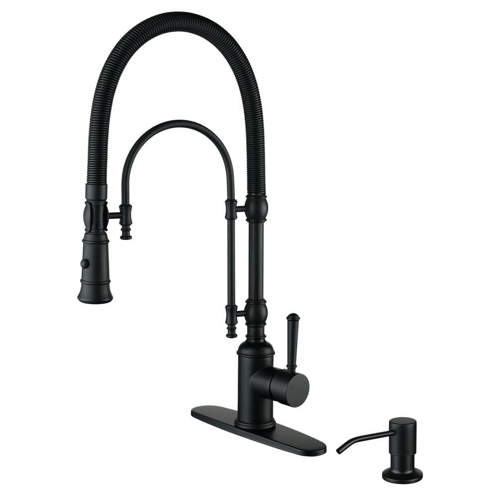 ALEASHA Single Handle Pull Down Sprayer Kitchen Faucet with Soap ...