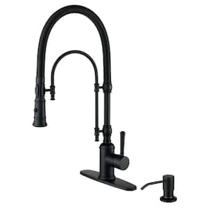 Single Handle Pull Down Sprayer Kitchen Faucet with Soap Dispenser in Matte Black