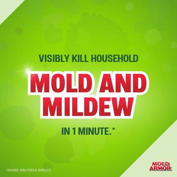 32 oz. Mold and Mildew Killer and Quick Stain Remover