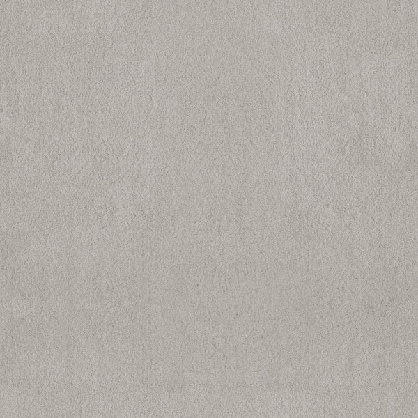 Dreamy Daze II Skye Beige 66 oz. Nylon Texture Installed Carpet