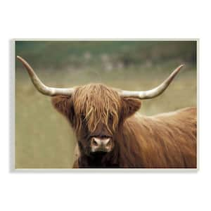 "Cattle Shaggy Country Animal Portrait Photography" by Danita Delimont Unframed Print Animal Wall Art 13 in. x 19 in.