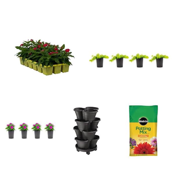 Vinca Red, Creeping Jenny, Vinca Purple Combo with 15 in. Planter and Potting Mix