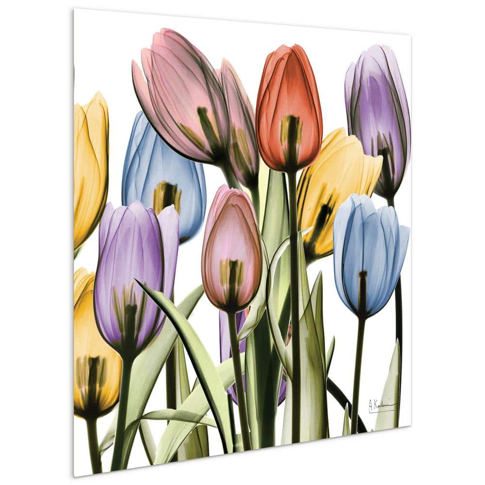 Tulip Scape X-Ray I & II Frameless Tempered Glass Wall Art Set