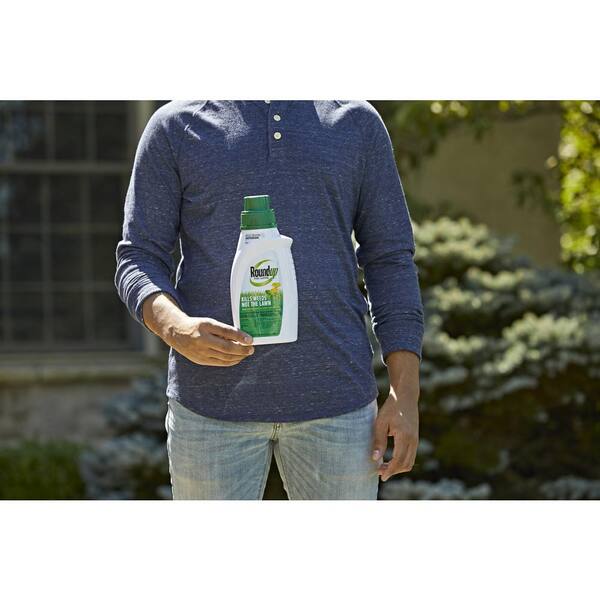 Roundup Roundup For Lawns 2 Concentrate 32 Oz Northern 500871005 The Home Depot