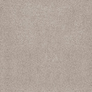 Lifeproof 8 in. x 8 in. Texture Carpet Sample - Sand Dunes I - Color ...