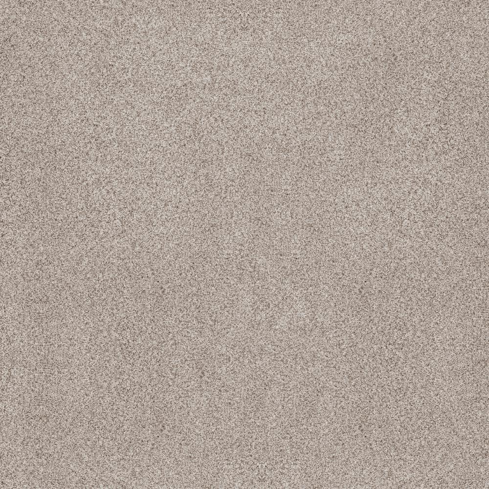 8 in. x 8 in. Texture Carpet Sample - Sand Dunes II - Color Strabell price history on PriceWatchPro
