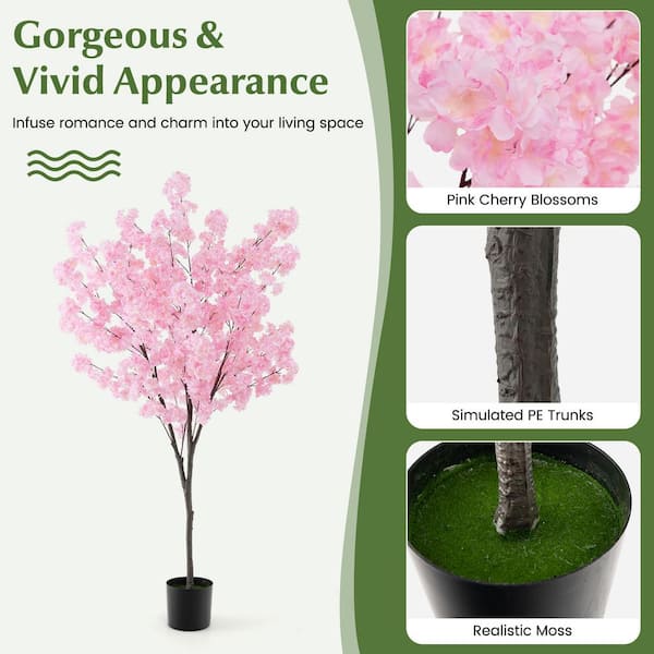 cherry blossom※プロフ確認 様　FANTASTICS Shirofugen Cherry Blossom Tree - Bright pink, fragrant, and