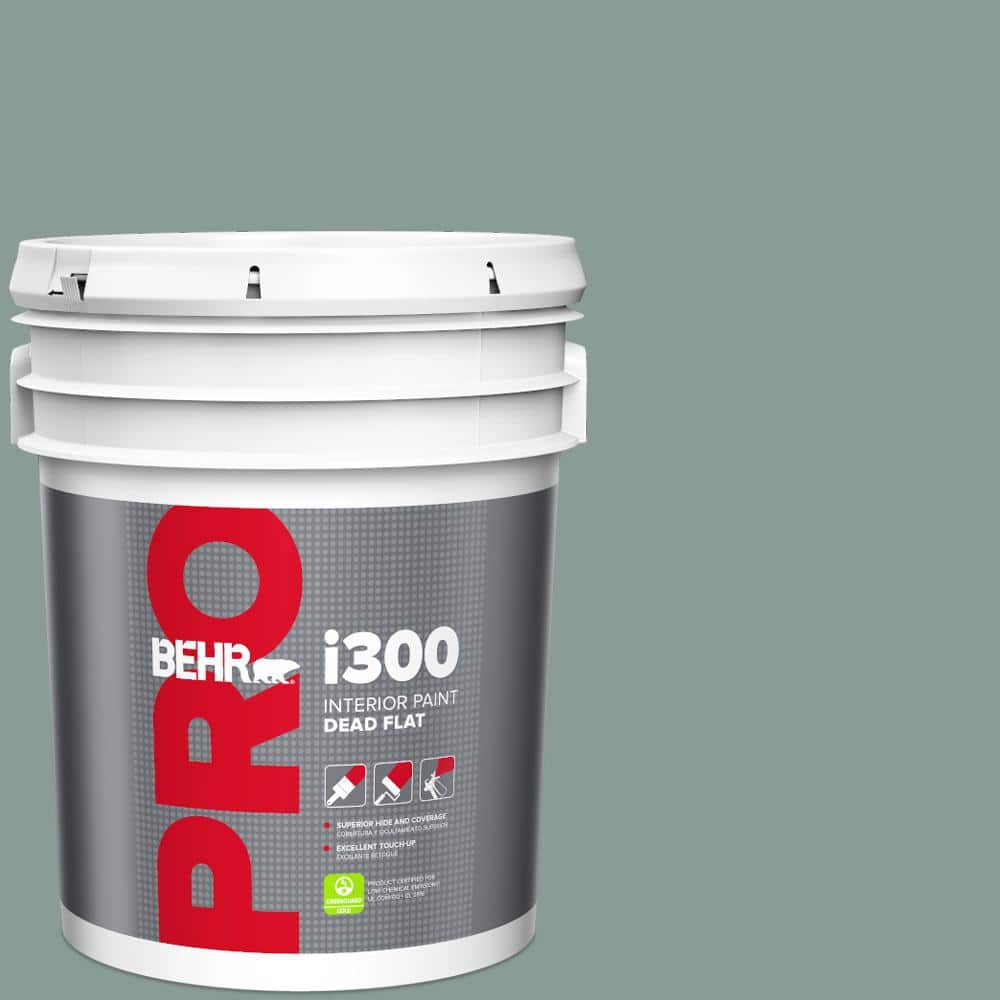 5 gal. #490F-5 Cloud Burst Dead Flat Interior Paint price history on PriceWatchPro