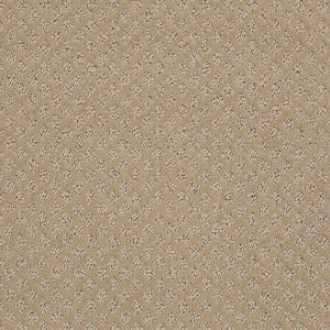 Crown - Antelope - Brown 42.1 oz. Nylon Pattern Installed Carpet