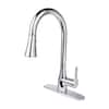 FLOW Classic Series Single-Handle Standard Kitchen Faucet in Chrome ...