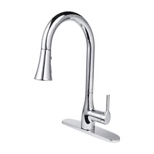 Classic Series Single-Handle Standard Kitchen Faucet in Chrome