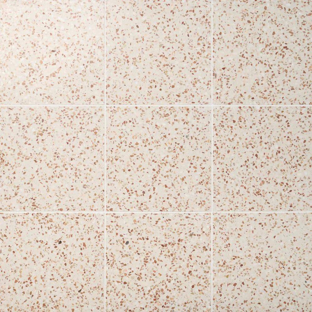Raleigh Evora Beige 16.4 in. x 16.4 in. Polished Terrazzo Floor and Wall Tile (3.61 Sq. Ft. / Case) price history on PriceWatchPro