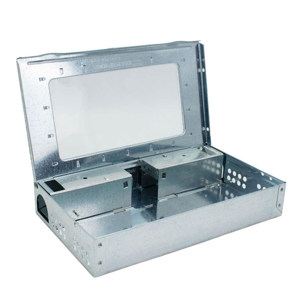 JT Eaton Repeater Low Profile Multi-Catch Mouse Trap Clear