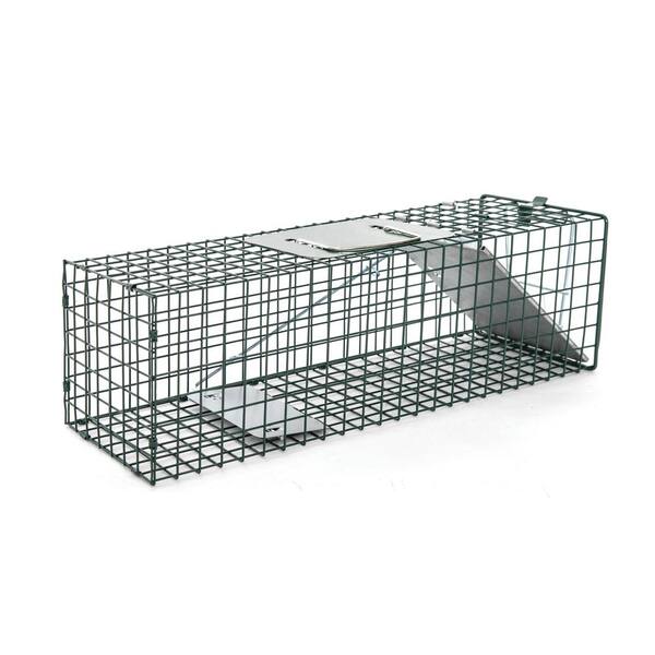 Humane Live Animal Trap Control Steel Cage for Rat Raccoon Skunk