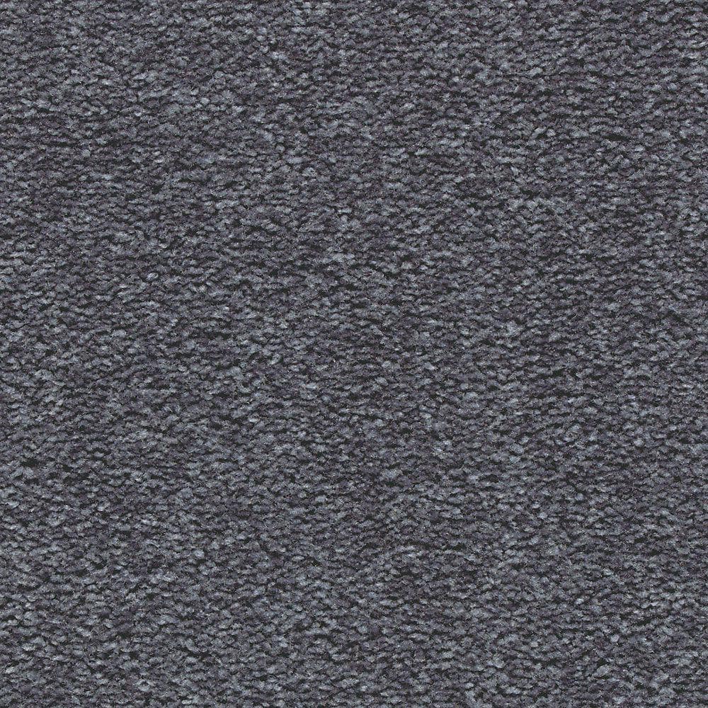 8 in. x 8 in. Texture Carpet Sample - Mason II -Color Monarch price history on PriceWatchPro