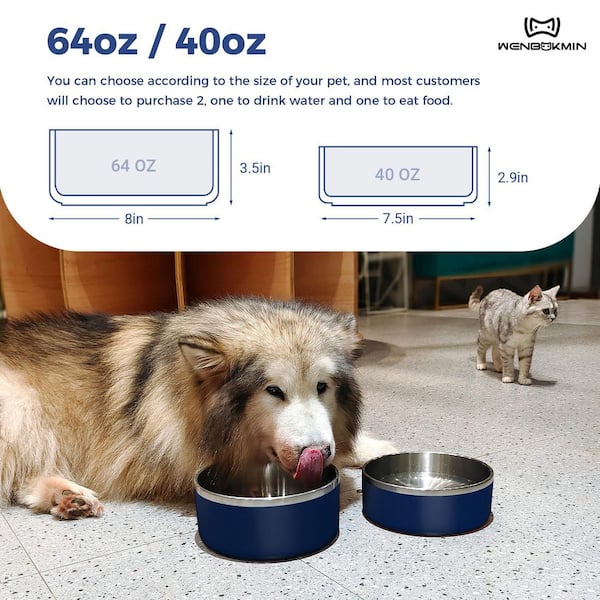 Stainless Steel Dog Food and Water Bowl Non Slip Quiet Bottom Easy