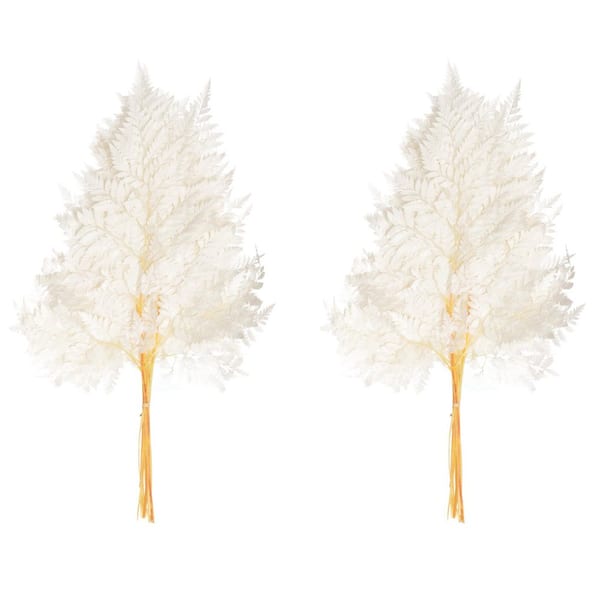 Uniquewise 17 in. Real Alpine Fern Leaves Vase Fillers with Stems for Dried Flower Arrangements, White (Set of 2 Bunches)
