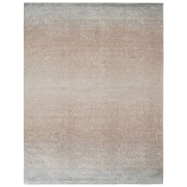 Madison 9 ft. x 12 ft. Gray Ombre Area Rug