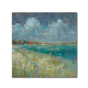 35 in. x 35 in. "Sky and Sea Crop" by Danhui Nai Printed Canvas Wall Art