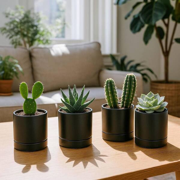 Small Black Ceramic Indoor/Outdoor Planter with Saucer (4.7 in. W