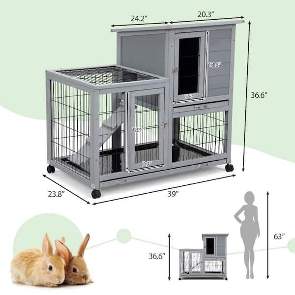 Dwarf Rabbit Enclosure Size