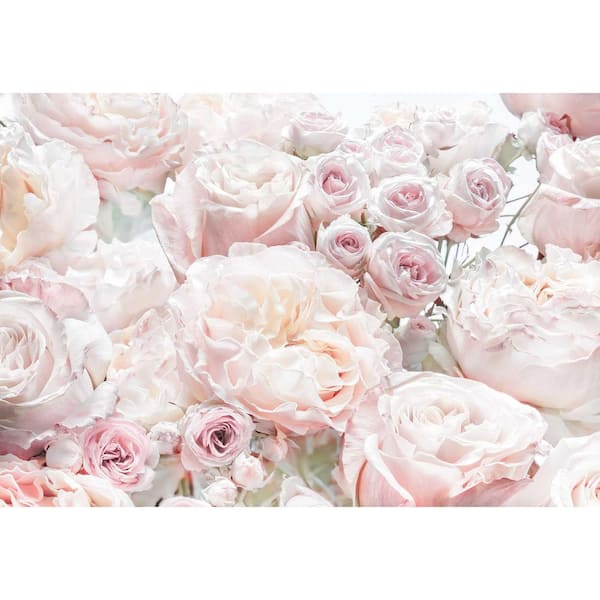 Spring Roses Wall Mural