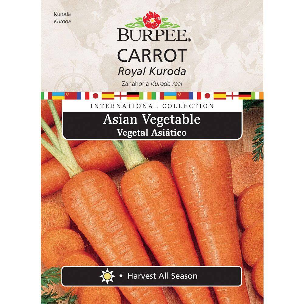 FR2NEWERA風 CarrotDroppingEmbroideryCap vegetable-seeds-69630-64_1000.jpg