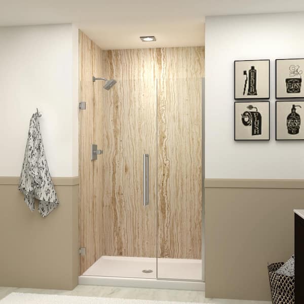Transolid Elizabeth 47 in. W x 76 in. H Hinged Frameless Shower Door in Brushed Stainless with Clear Glass