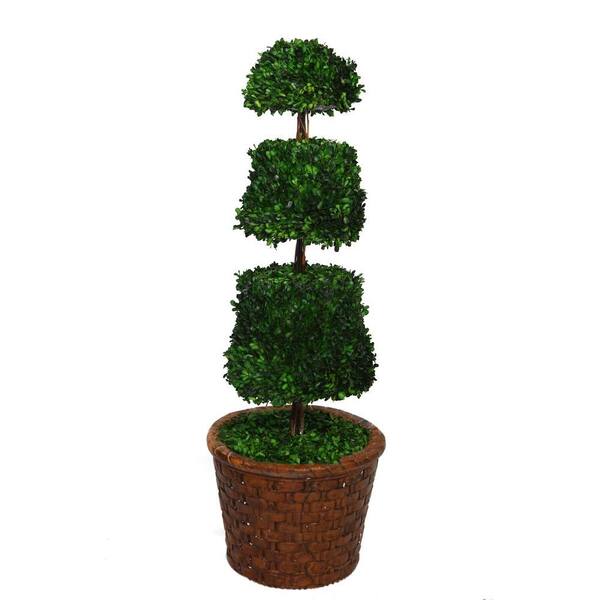 Laura Ashley 49 in. Tall Preserved Natural Spiral Boxwood Cone Topiary in 17 in. Fiberstone Planter