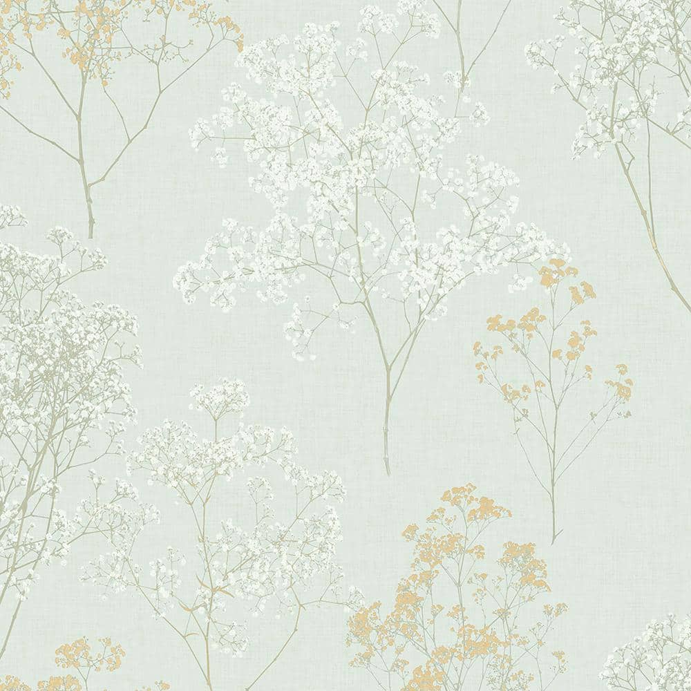 Queen Anne's Lace Print