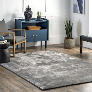 Loni Solid Machine Washable Shag Gray 5 ft. x 8 ft. Area Rug