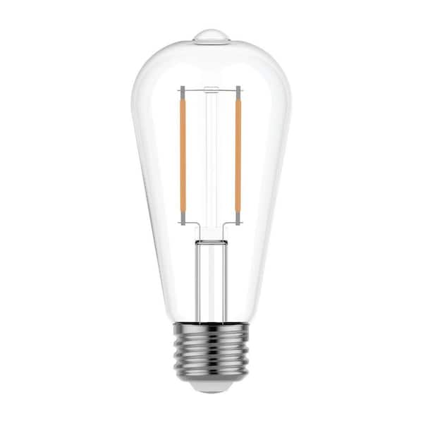 60.0-Watt Equivalent ST19 LED Bright White Dimmable Bulb 2-Pack