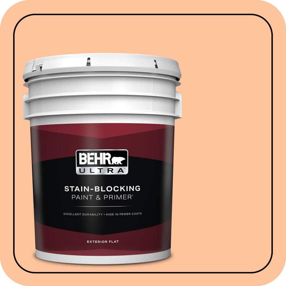 5 gal. #260B-4 Orange Sherbet Flat Exterior Paint & Primer price history on PriceWatchPro